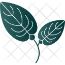 پیش‌نمایش فایل anthurium-9323607 از پک گل‌ها