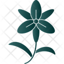 پیش‌نمایش فایل bloom-9323570 از پک گل‌ها