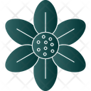 پیش‌نمایش فایل blossom-9323573 از پک گل‌ها