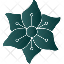 پیش‌نمایش فایل chrysanthemum-9323579 از پک گل‌ها