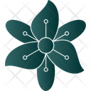 پیش‌نمایش فایل flower-9323590 از پک گل‌ها