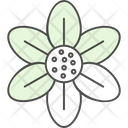 پیش‌نمایش فایل blossom-9323736 از پک گل‌ها