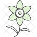 پیش‌نمایش فایل chrysanthemum-9323743 از پک گل‌ها
