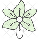 پیش‌نمایش فایل flower-9323753 از پک گل‌ها
