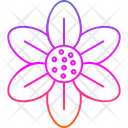 پیش‌نمایش فایل blossom-9323934 از پک گل‌ها