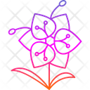پیش‌نمایش فایل blossom-9323936 از پک گل‌ها
