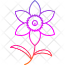 پیش‌نمایش فایل chrysanthemum-9323941 از پک گل‌ها