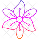پیش‌نمایش فایل flower-9323951 از پک گل‌ها