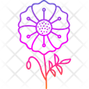 پیش‌نمایش فایل flower-9323952 از پک گل‌ها