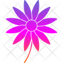 پیش‌نمایش فایل aster-9323996 از پک گل‌ها