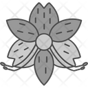 پیش‌نمایش فایل alstroemeria-9324190 از پک گل‌ها