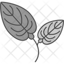 پیش‌نمایش فایل anthurium-9324193 از پک گل‌ها