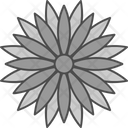 پیش‌نمایش فایل bloom-9324154 از پک گل‌ها