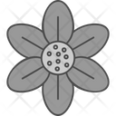 پیش‌نمایش فایل blossom-9324159 از پک گل‌ها