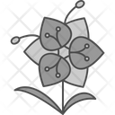 پیش‌نمایش فایل blossom-9324161 از پک گل‌ها