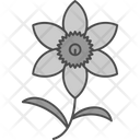 پیش‌نمایش فایل chrysanthemum-9324166 از پک گل‌ها