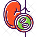 پیش‌نمایش فایل kidney-9327805 از پک چکاپ سلامت
