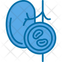 پیش‌نمایش فایل kidney-9328007 از پک چکاپ سلامت