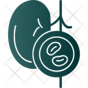 پیش‌نمایش فایل kidney-9328108 از پک چکاپ سلامت