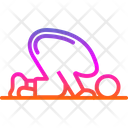 آیکن