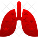 پیش‌نمایش فایل anatomy-9341422 از پک آلودگی