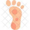 پیش‌نمایش فایل barefoot-9412603 از پک اسپا
