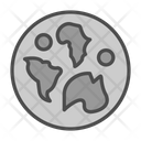 پیش‌نمایش فایل branch-9484800 از پک عشایر دیجیتال