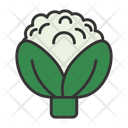 پیش‌نمایش فایل broccoli-9499940 از پک باغبانی