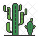 پیش‌نمایش فایل cactaceae-9499942 از پک باغبانی