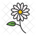 پیش‌نمایش فایل daisies-9499952 از پک باغبانی