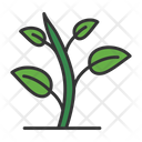 پیش‌نمایش فایل green-sprout-9499959 از پک باغبانی