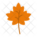 پیش‌نمایش فایل autumn-leaves-9500110 از پک باغبانی