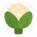 پیش‌نمایش فایل broccoli-9500121 از پک باغبانی