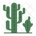 پیش‌نمایش فایل cactaceae-9500123 از پک باغبانی