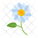 پیش‌نمایش فایل daisies-9500133 از پک باغبانی