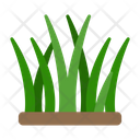 پیش‌نمایش فایل grass-9500139 از پک باغبانی