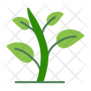 پیش‌نمایش فایل green-sprout-9500140 از پک باغبانی