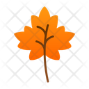 پیش‌نمایش فایل autumn-leaves-9500217 از پک باغبانی