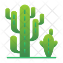 پیش‌نمایش فایل cactaceae-9500230 از پک باغبانی