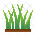 پیش‌نمایش فایل grass-9500246 از پک باغبانی