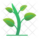 پیش‌نمایش فایل green-sprout-9500247 از پک باغبانی