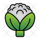 پیش‌نمایش فایل broccoli-9500278 از پک باغبانی