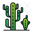 پیش‌نمایش فایل cactaceae-9500280 از پک باغبانی
