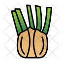 پیش‌نمایش فایل carrot-family-vegetable-9500281 از پک باغبانی