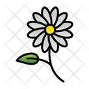 پیش‌نمایش فایل daisies-9500290 از پک باغبانی