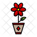 آیکن