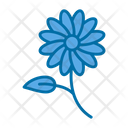 پیش‌نمایش فایل daisies-9500633 از پک باغبانی
