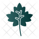 پیش‌نمایش فایل autumn-leaves-9500876 از پک باغبانی