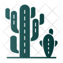 پیش‌نمایش فایل cactaceae-9500889 از پک باغبانی