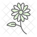 پیش‌نمایش فایل daisies-9501118 از پک باغبانی